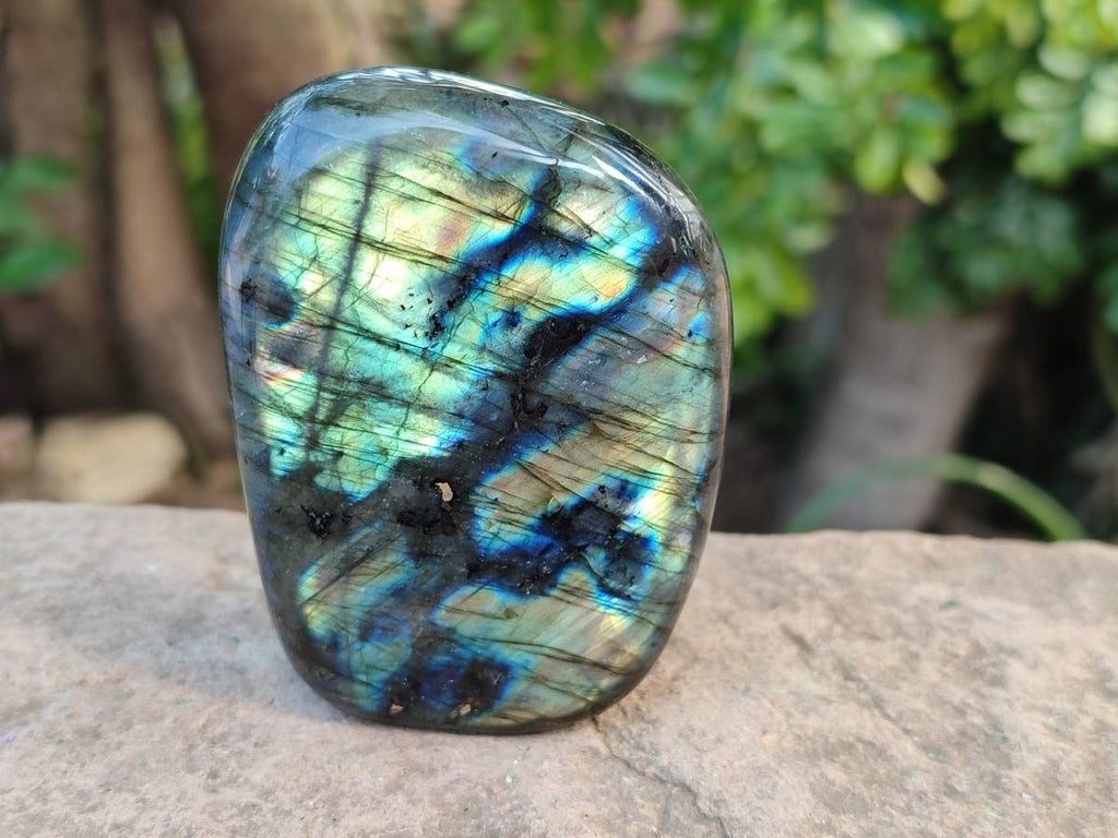 Polished Labradorite Standing Free Forms x 5 From Tulear, Madagascar - Toprock Gemstones and Minerals 