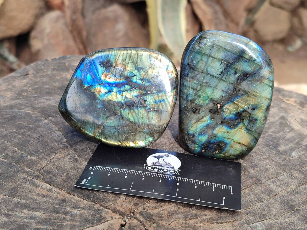 Polished Labradorite Standing Free Forms x 5 From Tulear, Madagascar - Toprock Gemstones and Minerals 