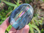 Polished Labradorite Standing Free Forms x 5 From Tulear, Madagascar - Toprock Gemstones and Minerals 