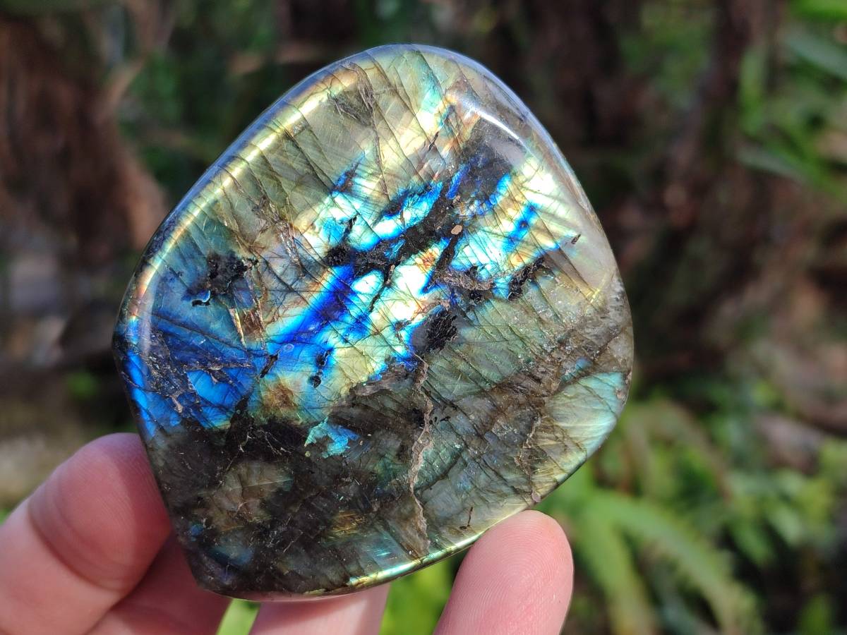Polished Labradorite Standing Free Forms x 5 From Tulear, Madagascar - Toprock Gemstones and Minerals 