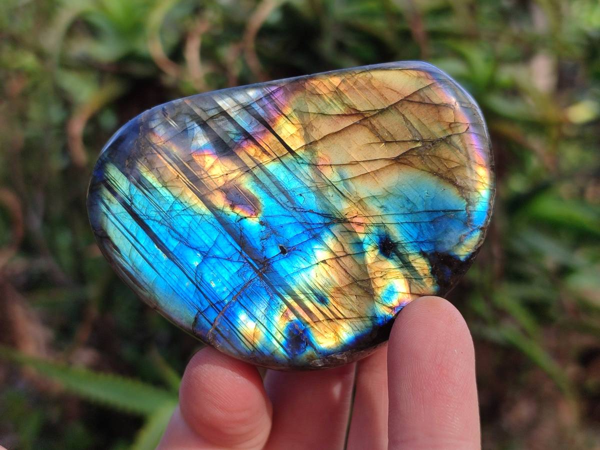 Polished Labradorite Standing Free Forms x 5 From Tulear, Madagascar - Toprock Gemstones and Minerals 