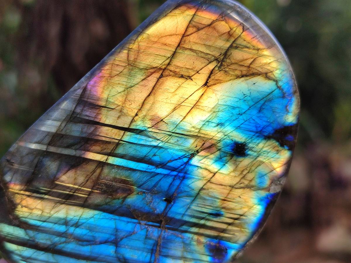 Polished Labradorite Standing Free Forms x 5 From Tulear, Madagascar - Toprock Gemstones and Minerals 
