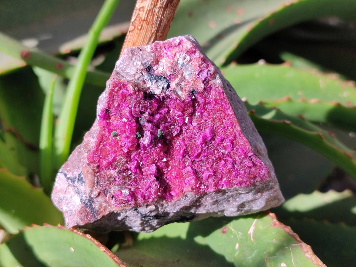 Natural Salrose Cobaltion Dolomite Specimens With Malachite And One With Chrysocolla x 6 From Kakanda, Congo - Toprock Gemstones and Minerals 