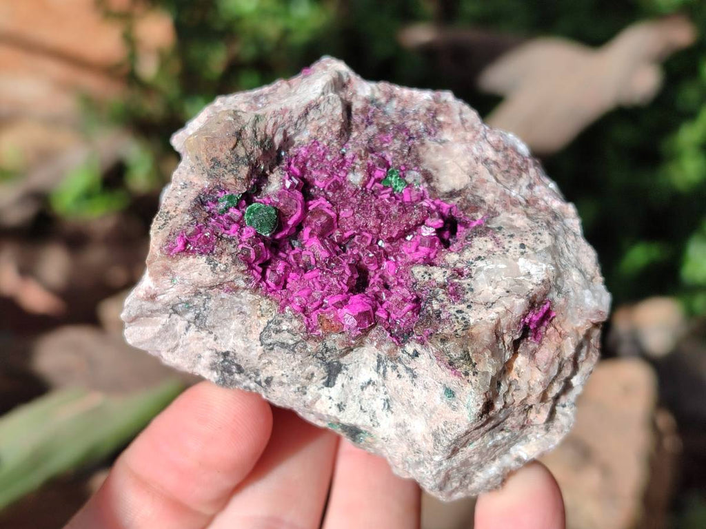 Natural Salrose Cobaltion Dolomite Specimens With Malachite And One With Chrysocolla x 6 From Kakanda, Congo - Toprock Gemstones and Minerals 