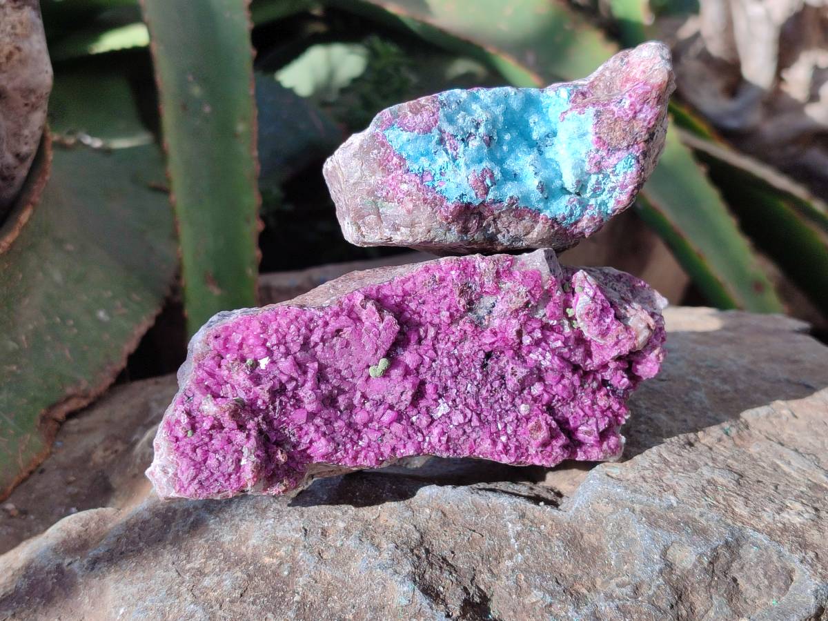 Natural Salrose Cobaltion Dolomite Specimens With Malachite And One With Chrysocolla x 6 From Kakanda, Congo - Toprock Gemstones and Minerals 