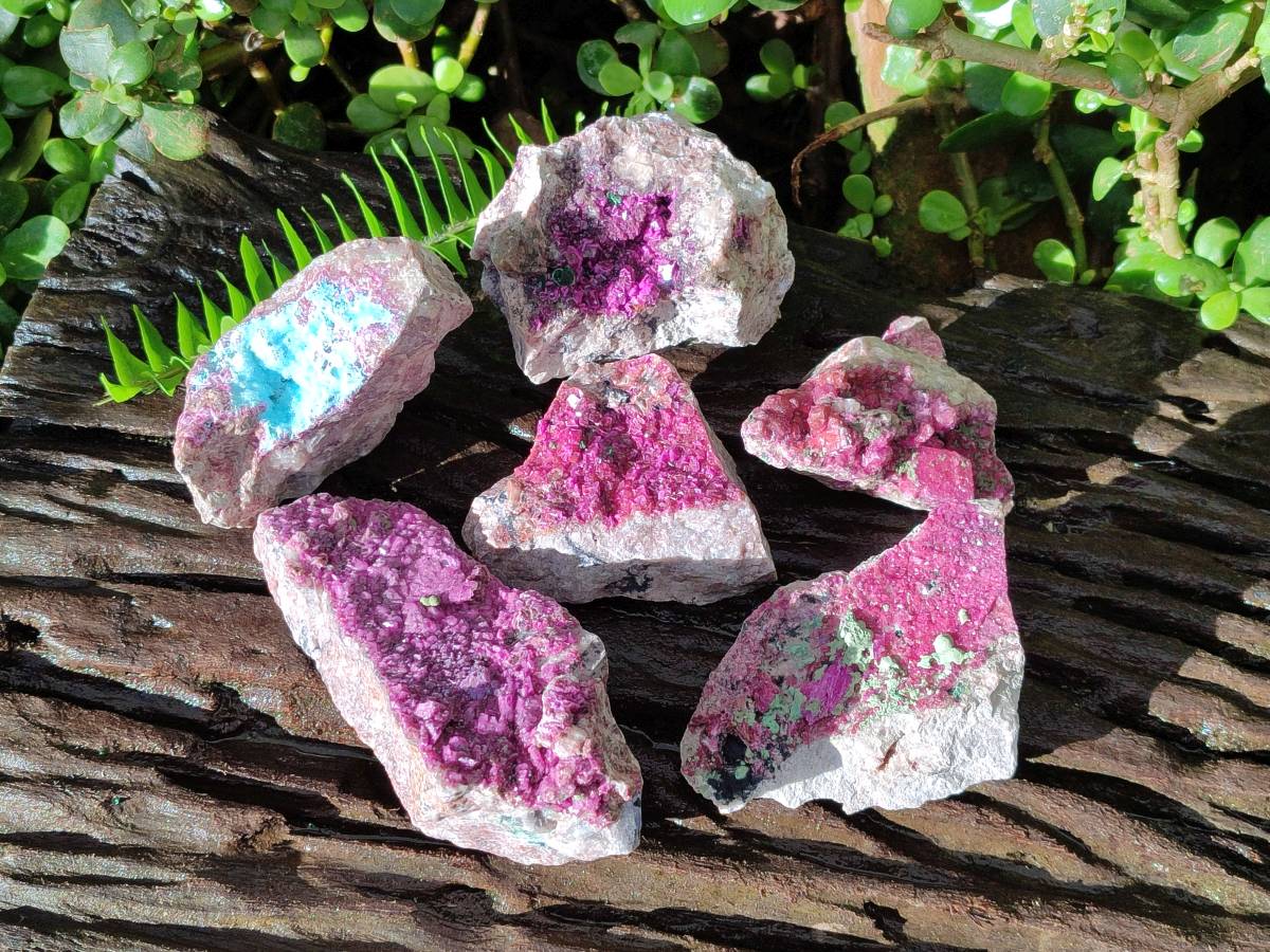 Natural Salrose Cobaltion Dolomite Specimens With Malachite And One With Chrysocolla x 6 From Kakanda, Congo - Toprock Gemstones and Minerals 