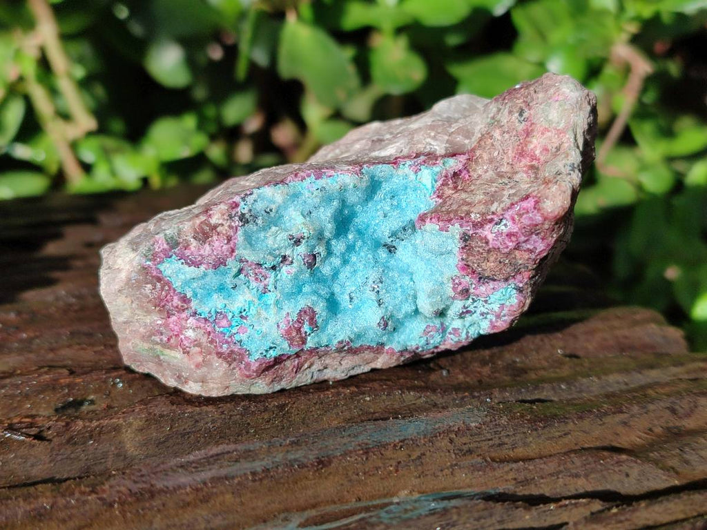 Natural Salrose Cobaltion Dolomite Specimens With Malachite And One With Chrysocolla x 6 From Kakanda, Congo - Toprock Gemstones and Minerals 