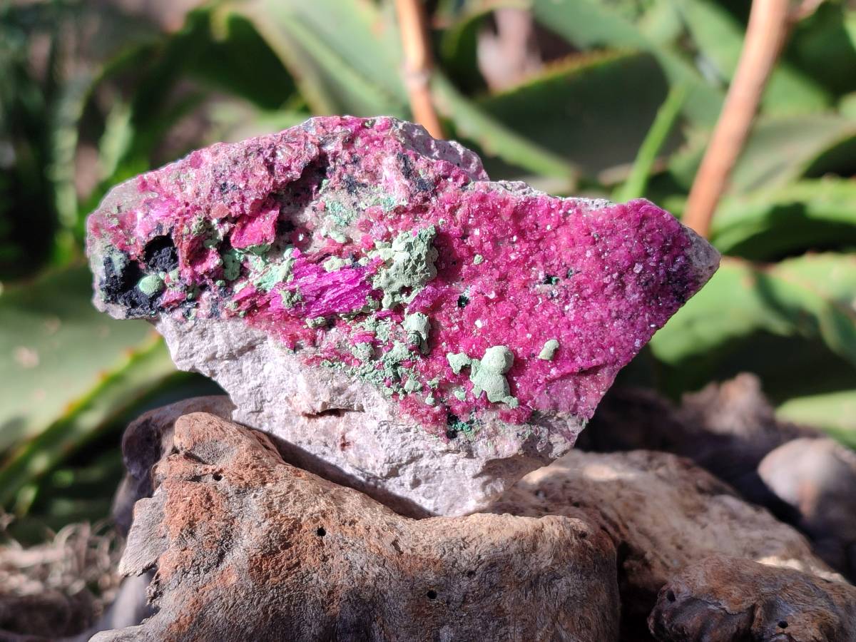 Natural Salrose Cobaltion Dolomite Specimens With Malachite And One With Chrysocolla x 6 From Kakanda, Congo - Toprock Gemstones and Minerals 