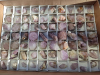 Natural Amethyst Spirit Quartz Crystals x 70 From Boekenhouthoek, South Africa - Toprock Gemstones and Minerals 
