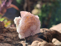 Natural Amethyst Spirit Quartz Crystals x 70 From Boekenhouthoek, South Africa - Toprock Gemstones and Minerals 
