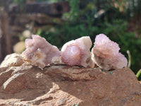 Natural Amethyst Spirit Quartz Crystals x 70 From Boekenhouthoek, South Africa - Toprock Gemstones and Minerals 