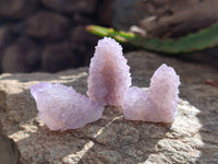 Natural Amethyst Spirit Quartz Crystals x 70 From Boekenhouthoek, South Africa - Toprock Gemstones and Minerals 