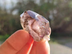 Natural Window Amethyst Crystals x 35 From Chiredzi, Zimbabwe - Toprock Gemstones and Minerals 
