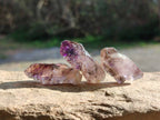 Natural Window Amethyst Crystals x 35 From Chiredzi, Zimbabwe - Toprock Gemstones and Minerals 