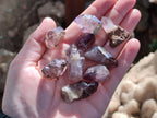 Natural Window Amethyst Crystals x 35 From Chiredzi, Zimbabwe - Toprock Gemstones and Minerals 