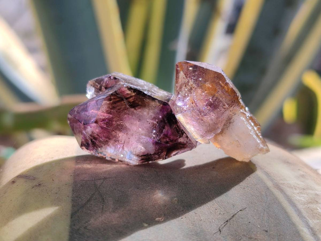 Natural Window Amethyst Crystals x 35 From Chiredzi, Zimbabwe - Toprock Gemstones and Minerals 