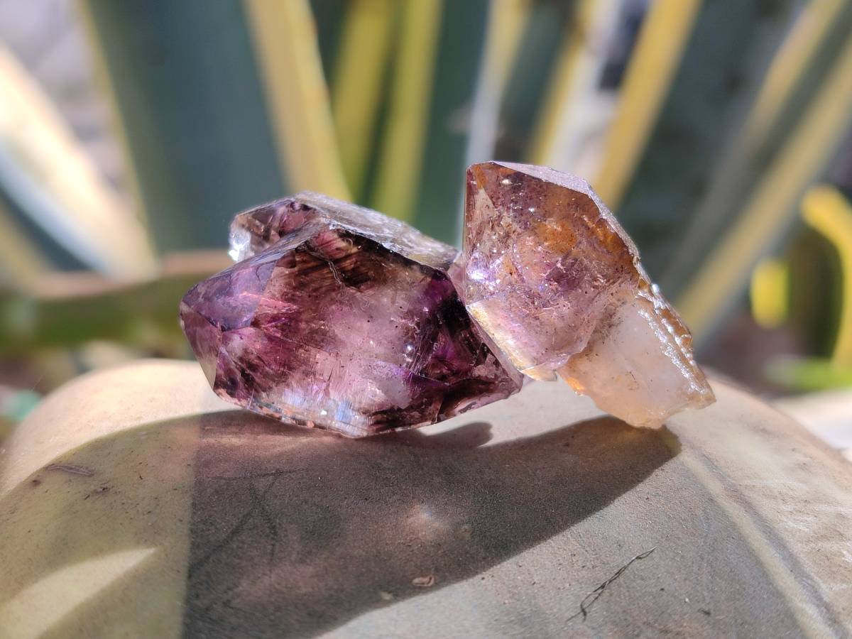 Natural Window Amethyst Crystals x 35 From Chiredzi, Zimbabwe - Toprock Gemstones and Minerals 