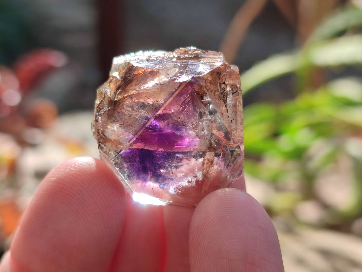 Natural Window Amethyst Crystals x 35 From Chiredzi, Zimbabwe - Toprock Gemstones and Minerals 