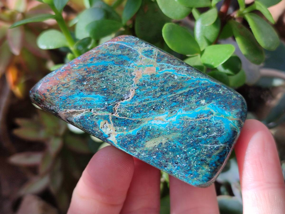 Polished Shattuckite, Chrysocolla Free Forms One With Dioptase x 6 From Koakoveld, Namibia - Toprock Gemstones and Minerals 