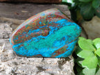 Polished Shattuckite, Chrysocolla Free Forms One With Dioptase x 6 From Koakoveld, Namibia - Toprock Gemstones and Minerals 