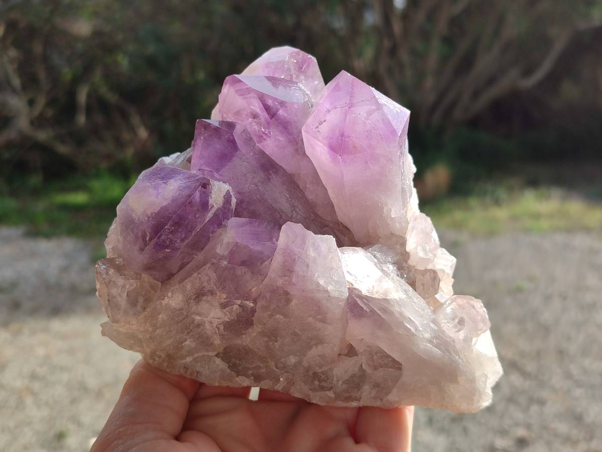 Natural Jacaranda Amethyst Clusters x 2 From Mumbwa, Zambia - Toprock Gemstones and Minerals 