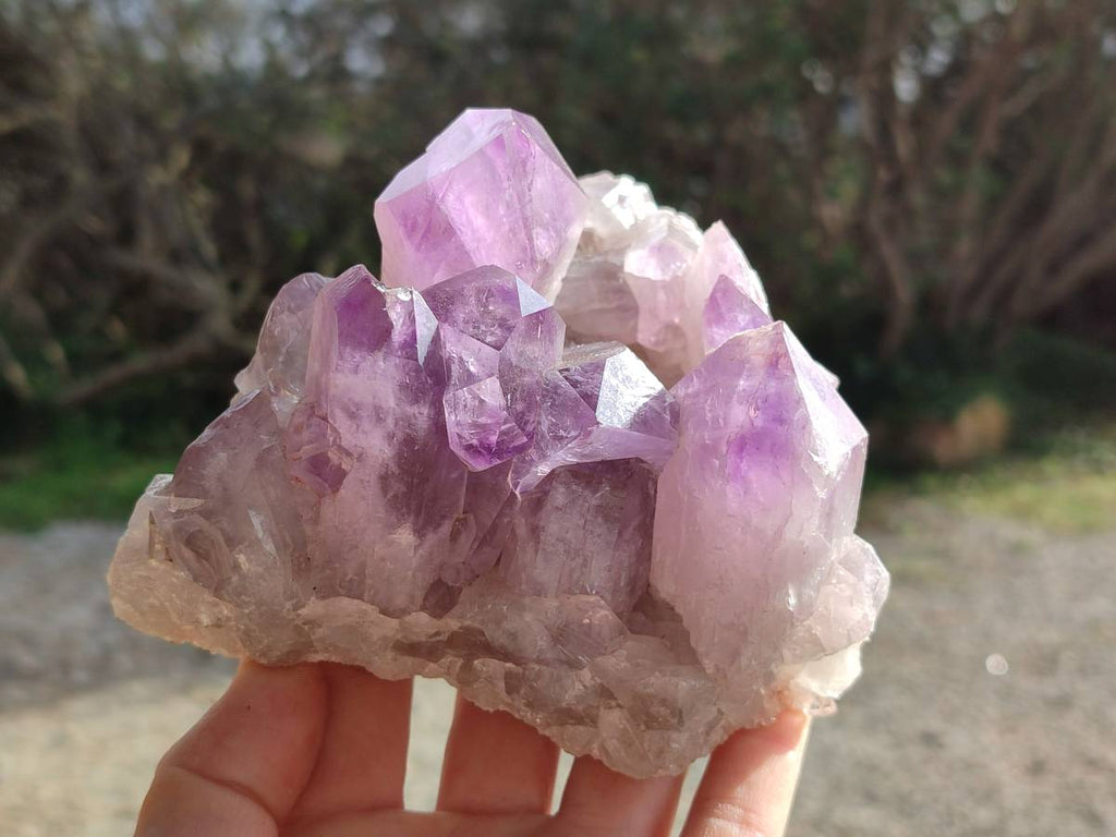 Natural Jacaranda Amethyst Clusters x 2 From Mumbwa, Zambia - Toprock Gemstones and Minerals 