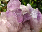 Natural Jacaranda Amethyst Clusters x 2 From Mumbwa, Zambia - Toprock Gemstones and Minerals 