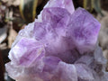 Natural Jacaranda Amethyst Clusters x 2 From Mumbwa, Zambia - Toprock Gemstones and Minerals 