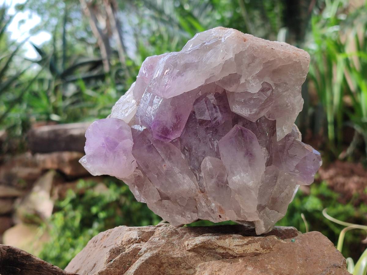 Natural Jacaranda Amethyst Clusters x 2 From Mumbwa, Zambia - Toprock Gemstones and Minerals 