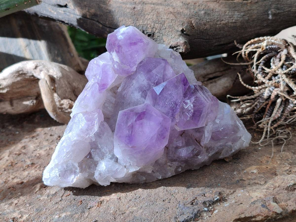 Natural Jacaranda Amethyst Clusters x 2 From Mumbwa, Zambia - Toprock Gemstones and Minerals 