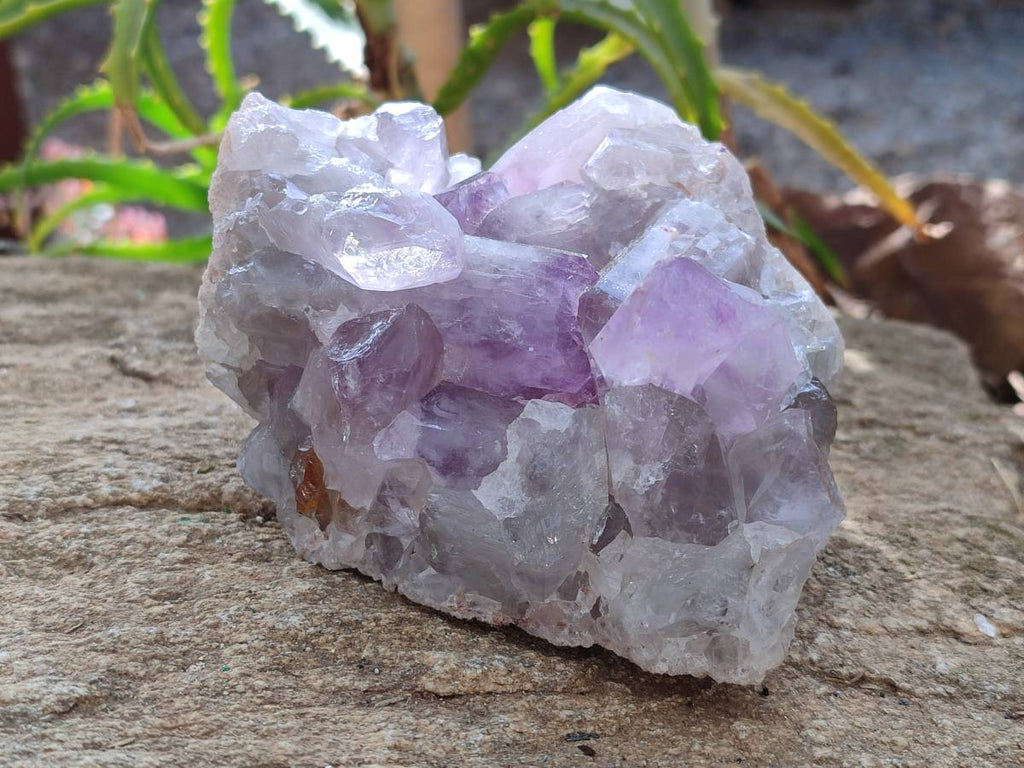 Natural Jacaranda Amethyst Clusters x 2 From Mumbwa, Zambia - Toprock Gemstones and Minerals 