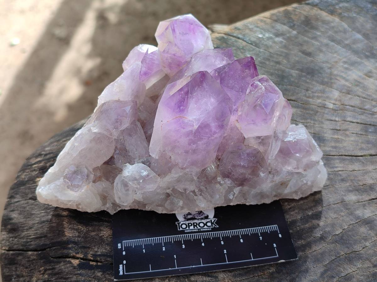 Natural Jacaranda Amethyst Clusters x 2 From Mumbwa, Zambia - Toprock Gemstones and Minerals 