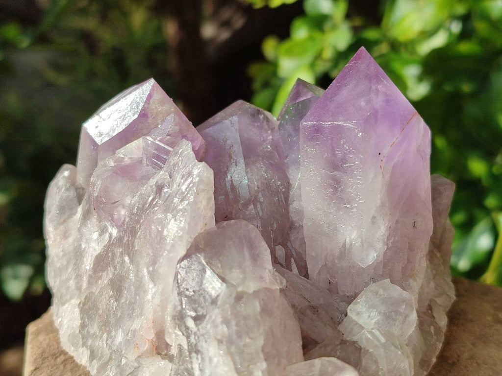 Natural Jacaranda Amethyst Clusters x 2 From Mumbwa, Zambia - Toprock Gemstones and Minerals 