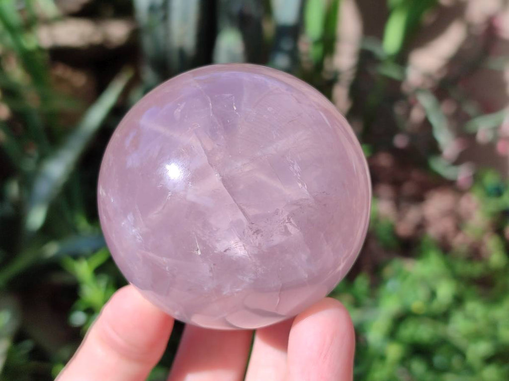 Polished Star Rose Quartz Spheres x 3 From Madagascar - Toprock Gemstones and Minerals 