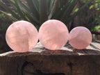 Polished Star Rose Quartz Spheres x 3 From Madagascar - Toprock Gemstones and Minerals 
