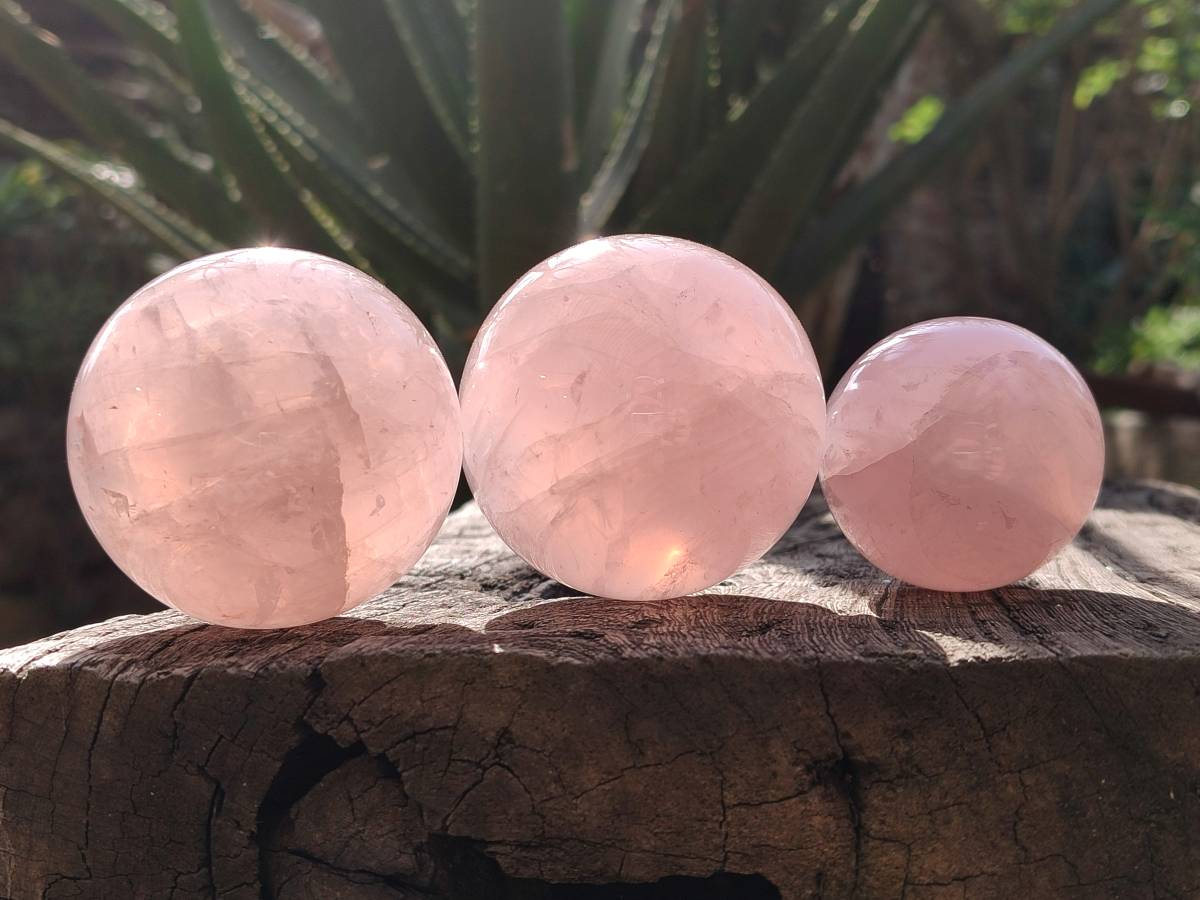 Polished Star Rose Quartz Spheres x 3 From Madagascar - Toprock Gemstones and Minerals 