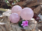 Polished Star Rose Quartz Spheres x 3 From Madagascar - Toprock Gemstones and Minerals 