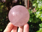 Polished Star Rose Quartz Spheres x 3 From Madagascar - Toprock Gemstones and Minerals 