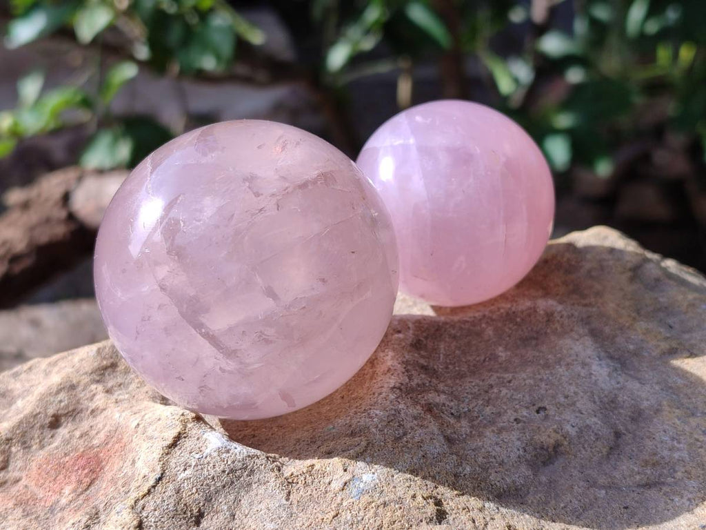 Polished Star Rose Quartz Spheres x 3 From Madagascar - Toprock Gemstones and Minerals 