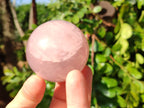 Polished Star Rose Quartz Spheres x 3 From Madagascar - Toprock Gemstones and Minerals 