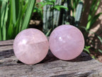 Polished Star Rose Quartz Spheres x 3 From Madagascar - Toprock Gemstones and Minerals 