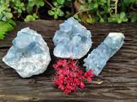 Natural Blue Celestite Specimens x 3 From Sakoany, Madagascar - Toprock Gemstones and Minerals 