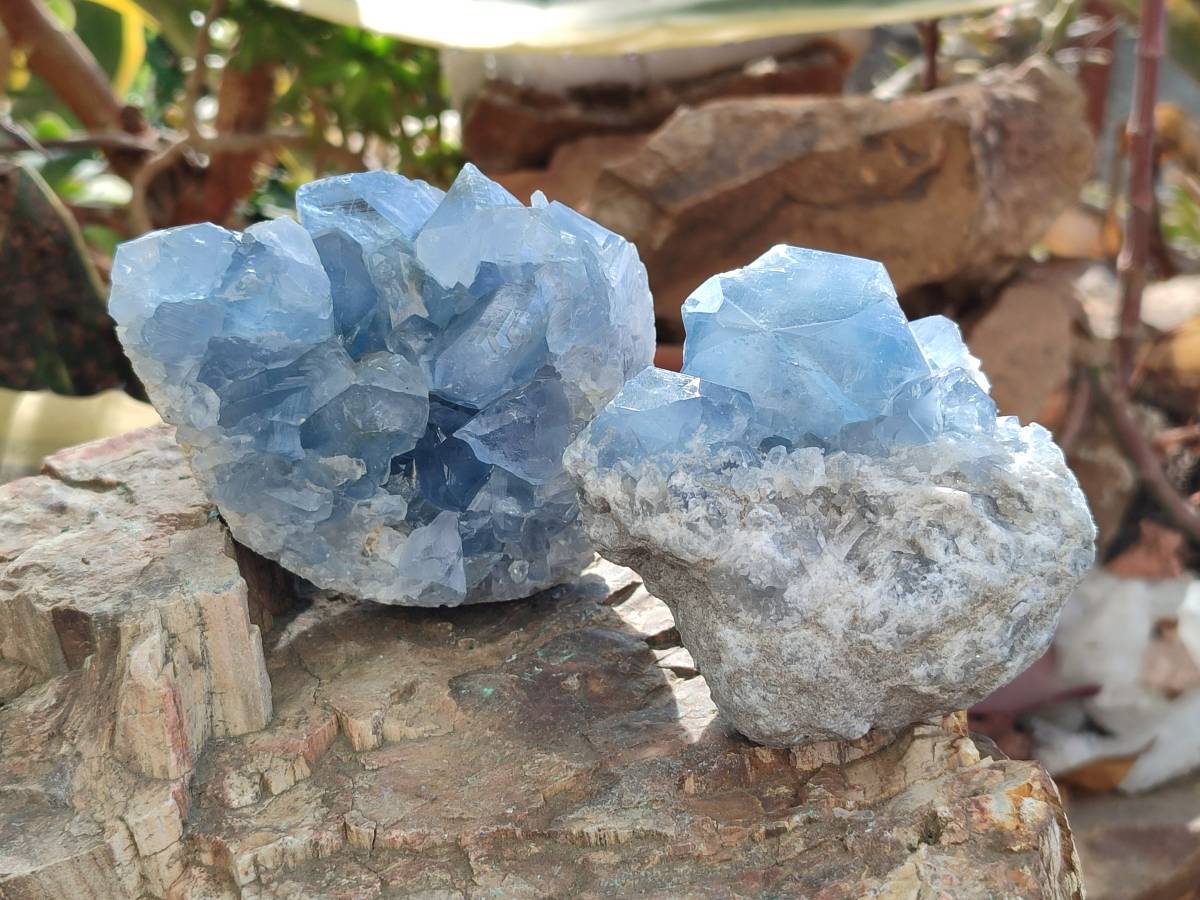 Natural Blue Celestite Specimens x 3 From Sakoany, Madagascar - Toprock Gemstones and Minerals 