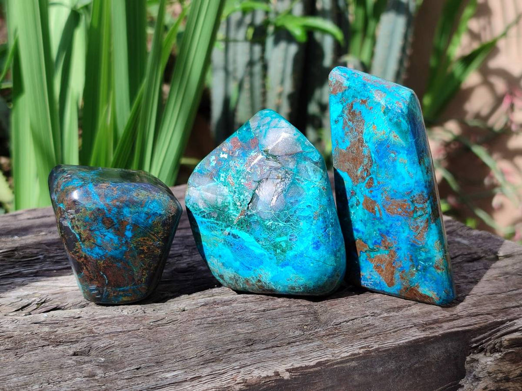 Polished Shattuckite Free Forms x 3 From Kaokoveld, Namibia - Toprock Gemstones and Minerals 