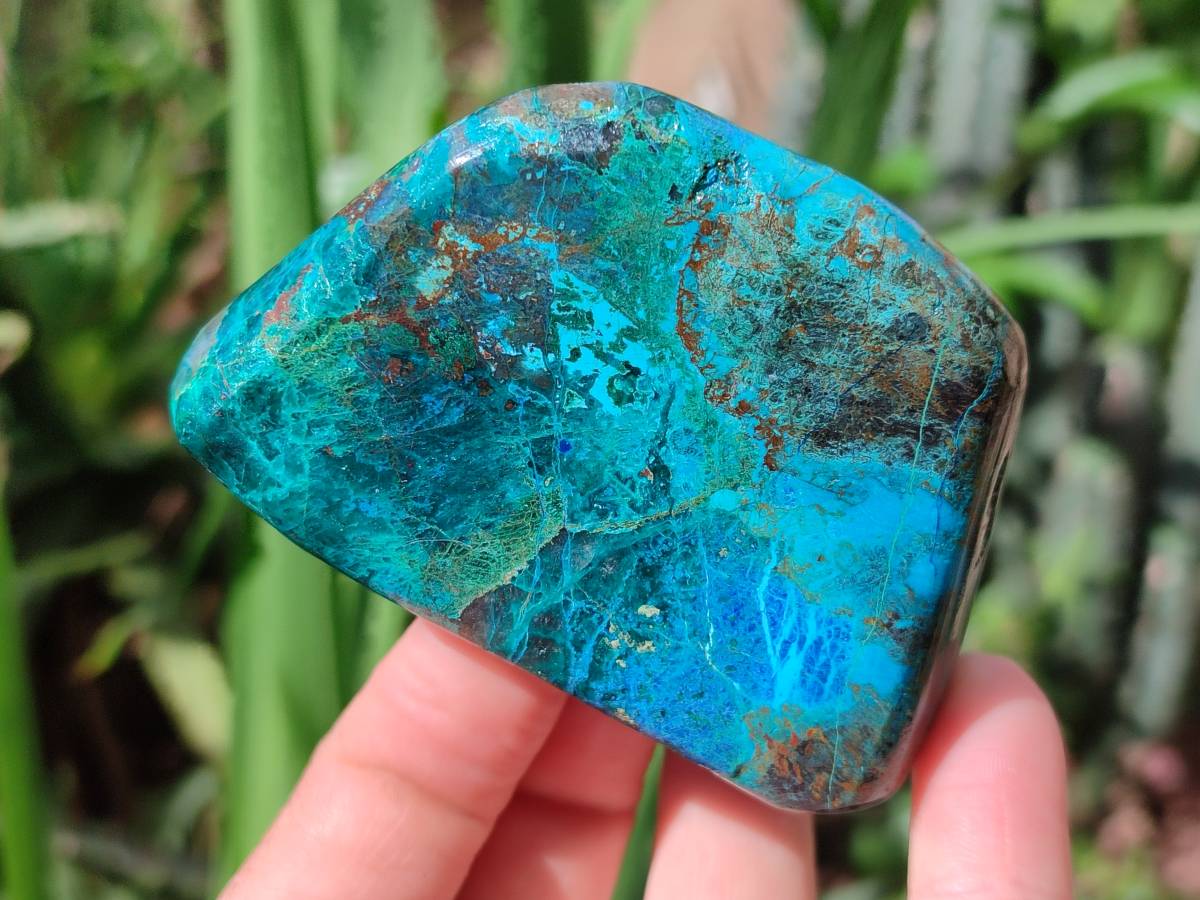 Polished Shattuckite Free Forms x 3 From Kaokoveld, Namibia - Toprock Gemstones and Minerals 