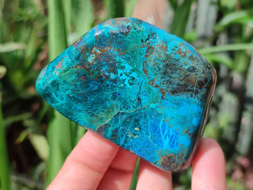 Polished Shattuckite Free Forms x 3 From Kaokoveld, Namibia - Toprock Gemstones and Minerals 