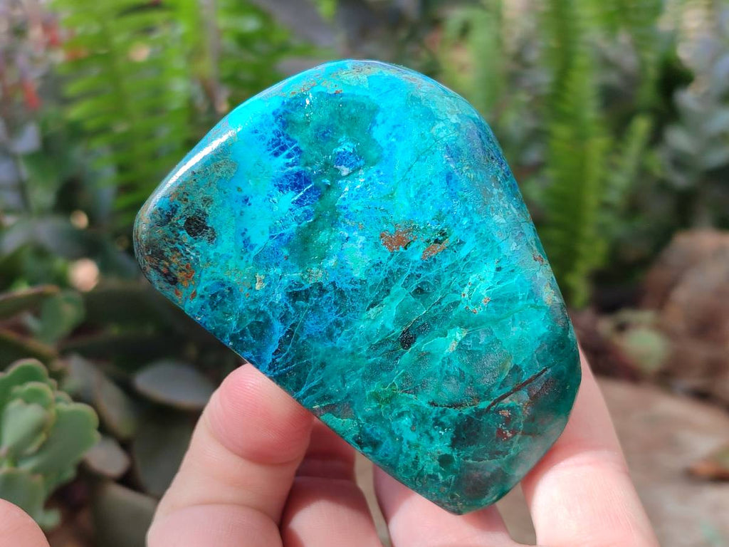 Polished Shattuckite Free Forms x 3 From Kaokoveld, Namibia - Toprock Gemstones and Minerals 