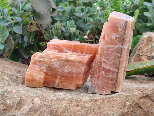 Natural Rhombohedral Sunset Orange Calcite Specimens x 6 From Spitzkop, Namibia - Toprock Gemstones and Minerals 