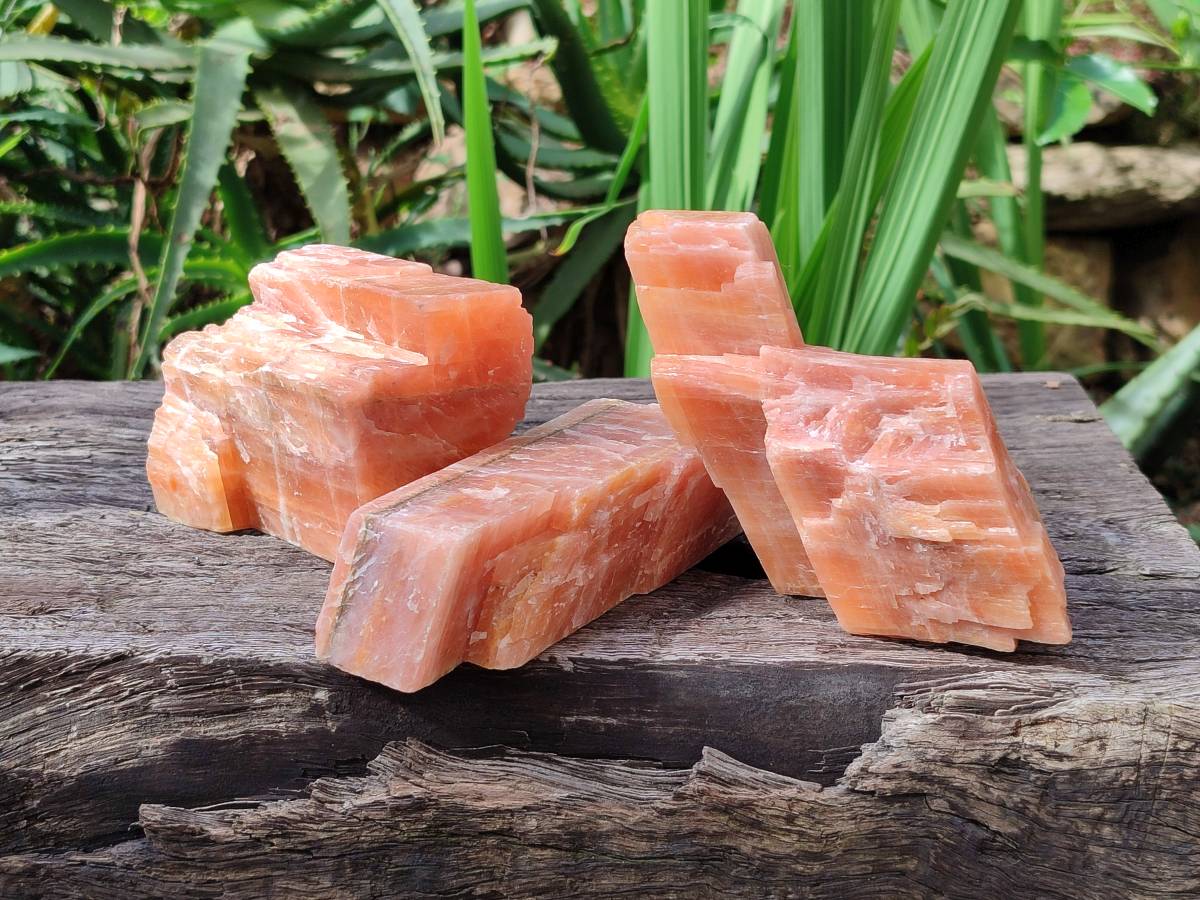 Natural Rhombohedral Sunset Orange Calcite Specimens x 6 From Spitzkop, Namibia - Toprock Gemstones and Minerals 