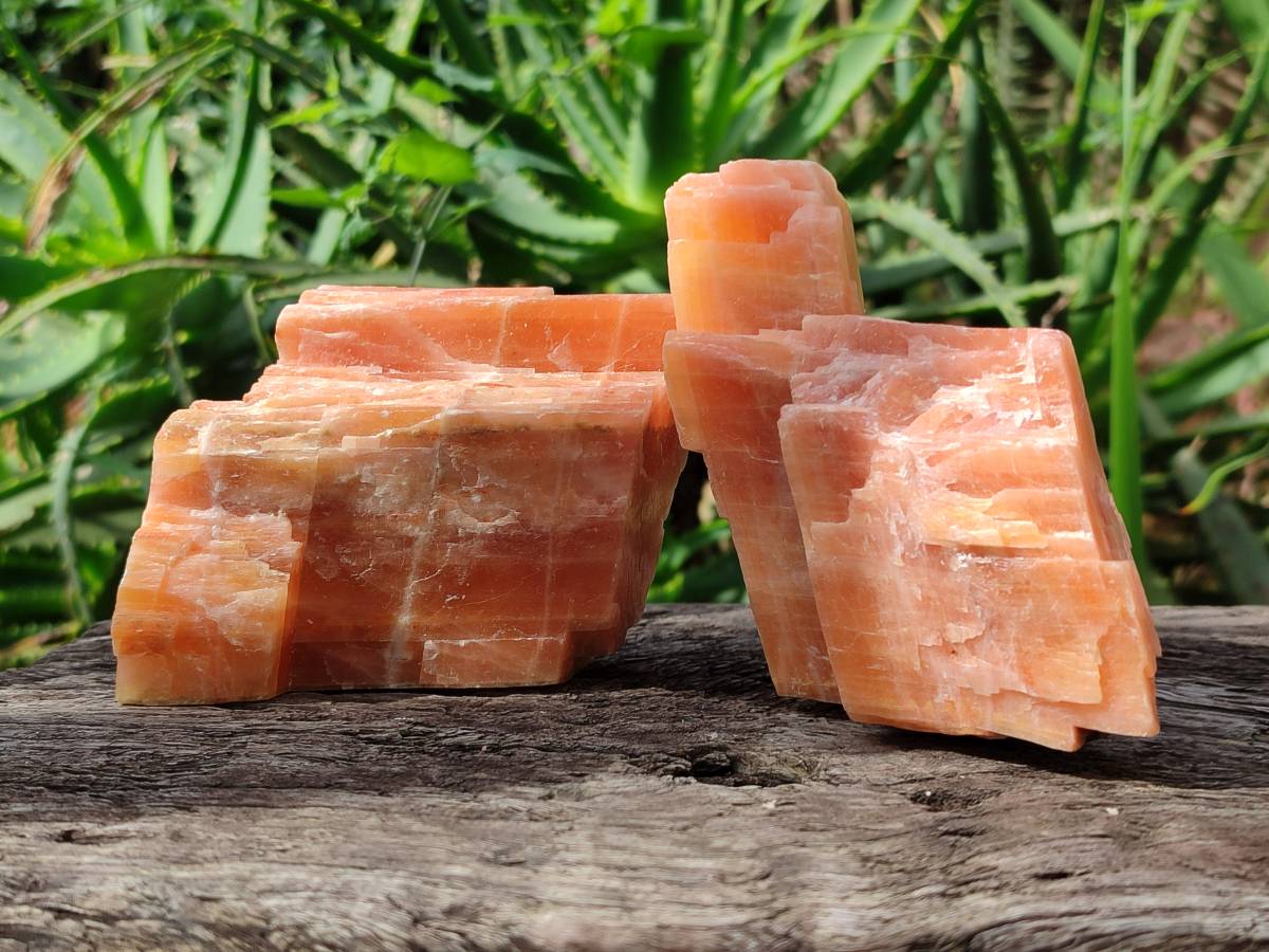 Natural Rhombohedral Sunset Orange Calcite Specimens x 6 From Spitzkop, Namibia - Toprock Gemstones and Minerals 